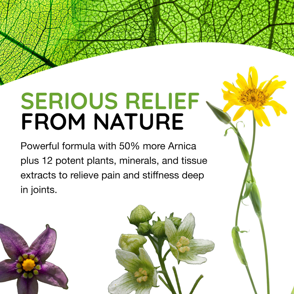 T-Relief Extra Strength Arthritis Cream Arnica +12 Pain Relieving Natural Medicines Help Soothe Soreness Stiffness Aches & Pains in Joints Naturally - 3 oz MediNaturaBuy Supplements Australia