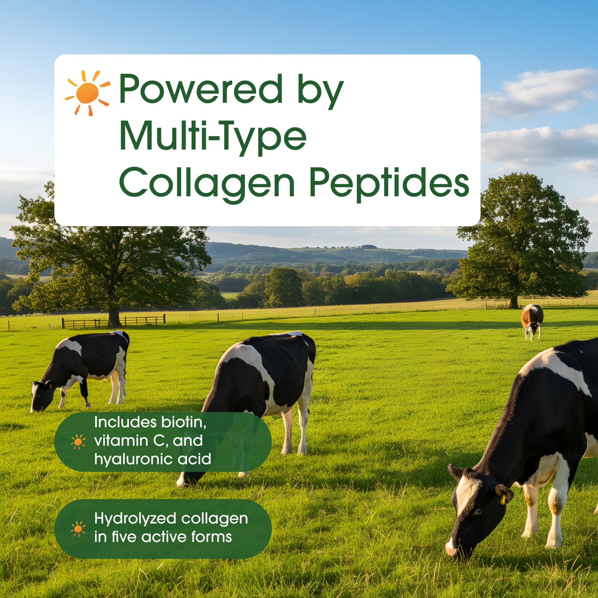 NatureBell Multi Collagen Protein Powder - 600g - Hydrolyzed Collagen Peptides - for Skin, Hair, Nail, Joint & Bone Health Support* - Grass-Fed & Keto-Friendly - Unflavored NatureBell buy supplements Au