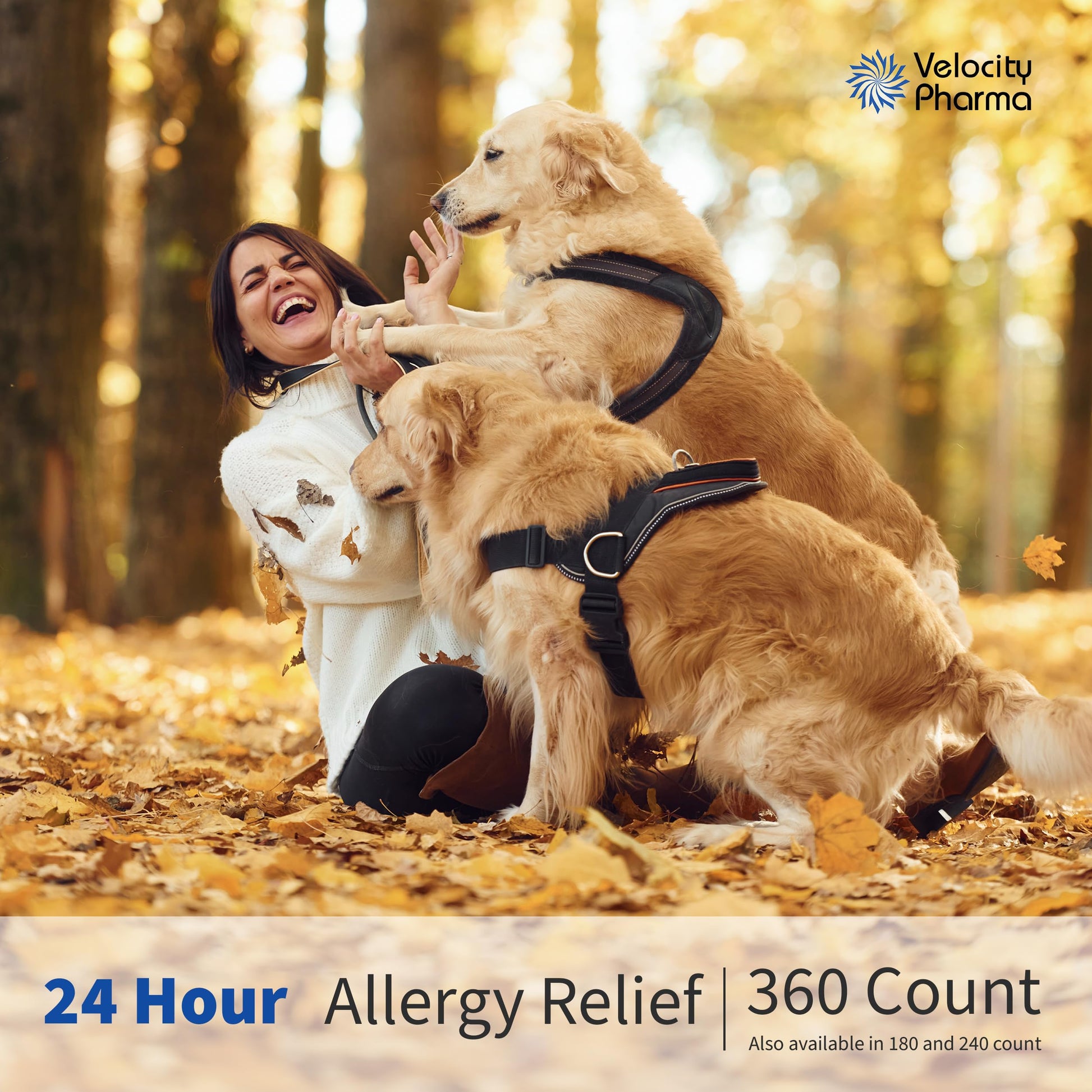 Velocity Pharma Levocetirizine Dihydrochloride 5mg USP Tablets, 24 Hour Allergy Relief Non-Drowsy Antihistamine, 360 Count Velocity Pharma buy supplements Au