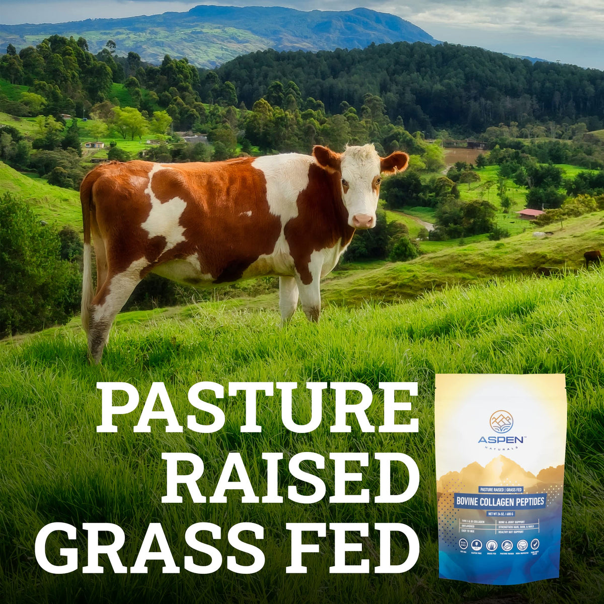 ASPEN NATURALS Grass fed Bovine Collagen Peptides Powder 3lb - Collagen for Women, USA Sourced from USDA Inspected Cattle, Gluten Free, Paleo Friendly, Water Soluble, Flavorless, Easily Mixes ASPEN NATURALS buy supplements Au