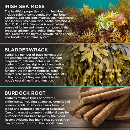 HerbaMe Organic Irish Sea Moss with Bladderwrack, Burdock Root & Black Pepper Extract, 150 Capsules, Thyroid Support, Natural Iodine Source, Promotes Immune System, Cell Food, Alkaline Supplement HerbaMe buy supplements Au