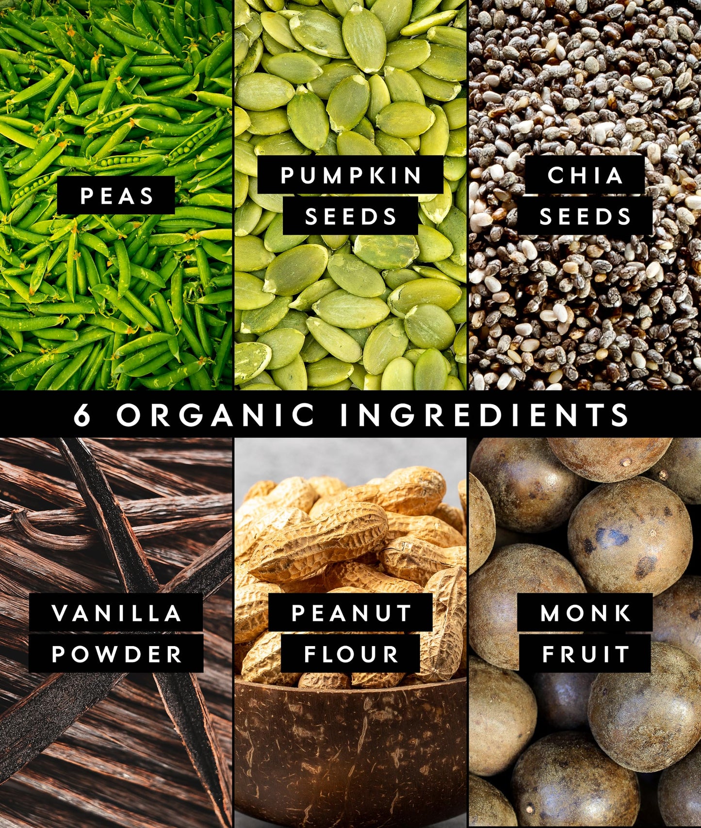 Truvani Organic Plant Based Protein Powder | Vanilla | 1 Serving | Vegan | 20g Pea Protein | Keto | Gluten & Dairy Free | Low Carb | No Added Sugar