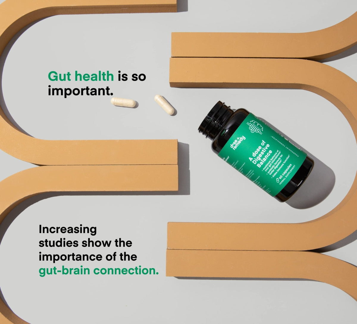 A dose of Digestive Balance-Gut Health Supplement-USDA-Kombucha, 7 Probiotic Strains and Prebiotics for Microbiome-Digestive Enzymes for Digestion - PrimeBioHealth - canada supplements