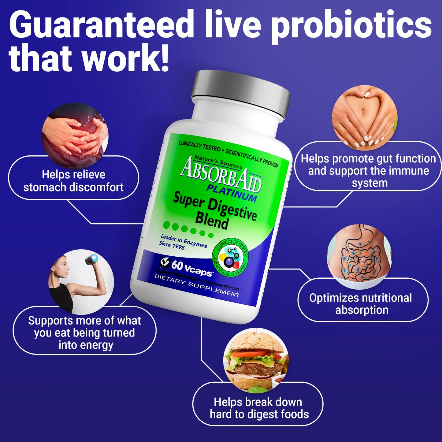 AbsorbAid Platinum Digestive Enzyme Support 60 vCaps, 12 Digestive Enzymes Plus 2 Probiotics for Maximum Relief - PrimeBioHealth - canada supplements