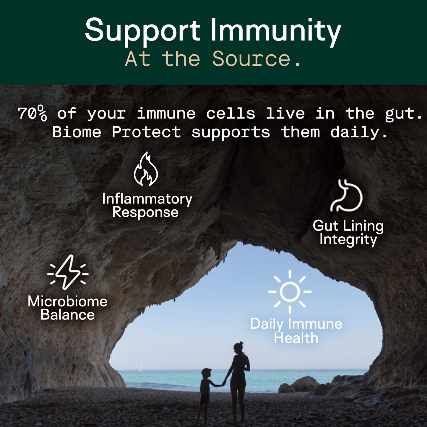 Adapt Naturals 4-in-1 Biome Protect Prebiotics, Probiotics Supplement Postbiotics & Polyphenols for Microbiome, Gut Health & Defense - PrimeBioHealth - canada supplements