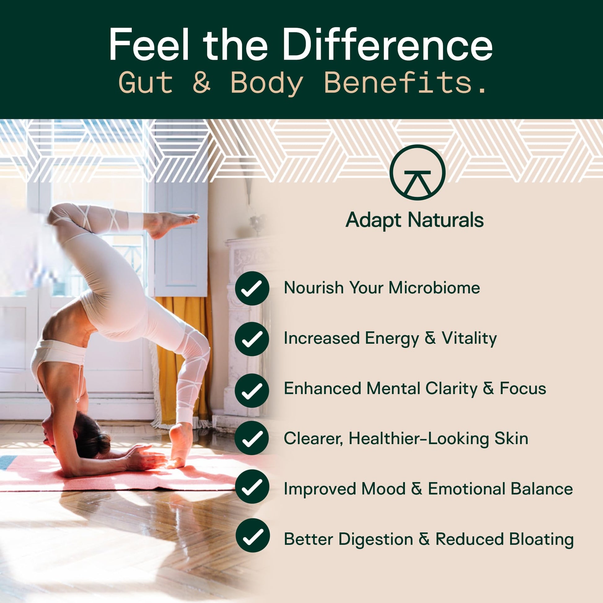 Adapt Naturals 4-in-1 Biome Protect Prebiotics, Probiotics Supplement Postbiotics & Polyphenols for Microbiome, Gut Health & Defense - PrimeBioHealth - canada supplements