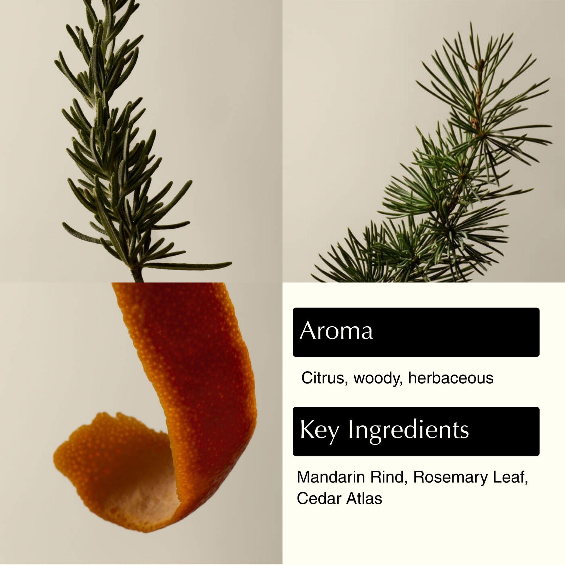 Aesop Resurrection Aromatique Hydrating Hand Wash | Gentle Non-Drying Hand Soap with Mandarin Rind, Rosemary, & Lavender - PrimeBioHealth - canada supplements