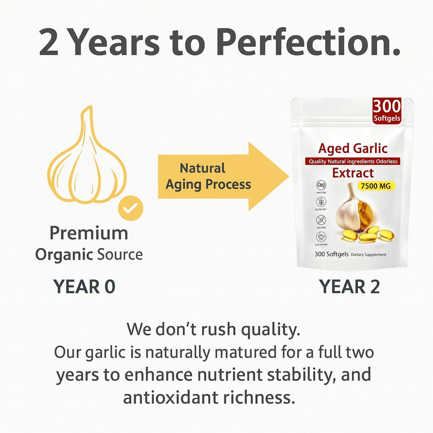 Aged Garlic Extract – 300 Count Odorless Garlic Supplement for Heart & Immune Support – Non-GMO, All-Natural Softgels, 2-Year Matured for Antioxidant Wellness (1) - PrimeBioHealth - canada supplements