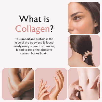 Alaya Naturals Hydrolyzed Multi Collagen Peptides Protein Capsules - Type I, II, III, V, X Grass-Fed Bovine, Chicken, Marine Collagen Supplement with MSM - PrimeBioHealth - canada supplements