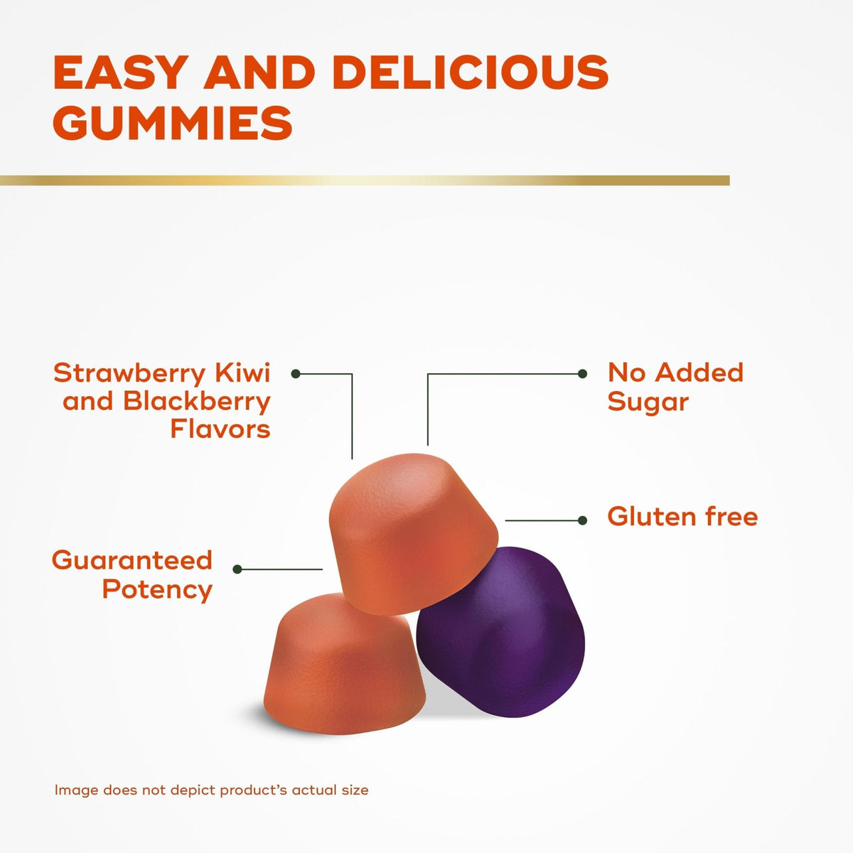 Align Probiotic, Probiotics + Fiber Gummies, Probiotics Help Relieve Occasional Bloating*, Fiber Helps Support a Healthy Digestive System - PrimeBioHealth - canada supplements
