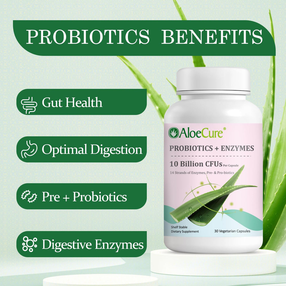 AloeCure Daily Probiotics 10 Billion CFU for Digestive Support 8 Strains, 6 Prebiotics & Enzymes - Digestive Supplement with Bromelain for Women & Men - PrimeBioHealth - canada supplements