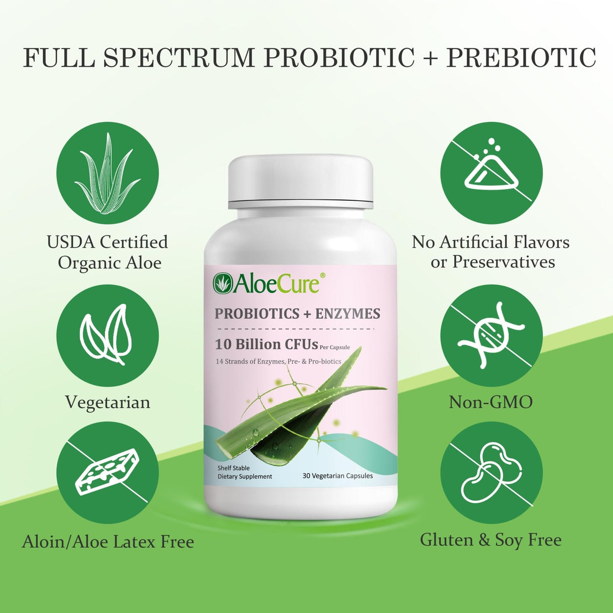 AloeCure Daily Probiotics 10 Billion CFU for Digestive Support 8 Strains, 6 Prebiotics & Enzymes - Digestive Supplement with Bromelain for Women & Men - PrimeBioHealth - canada supplements
