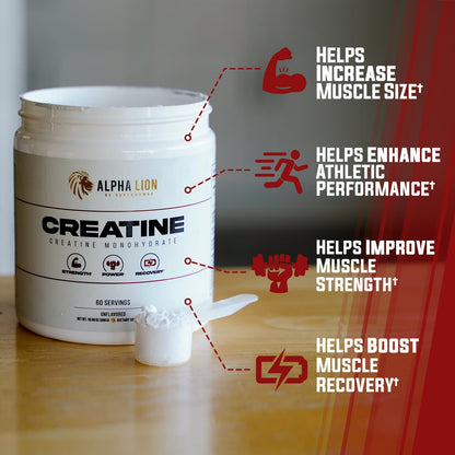 ALPHA LION Creatine Monohydrate Powder, 5000mg Per Serving (5g), Supports Muscle Strength, Power, Athletic Performance, Pure Creatina Monohydrata - PrimeBioHealth - canada supplements