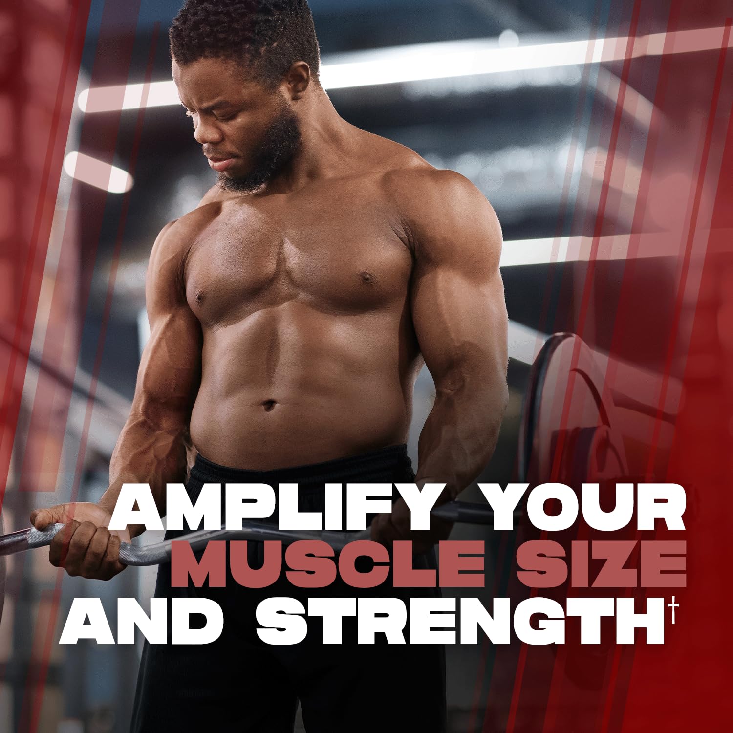 ALPHA LION Creatine Monohydrate Powder, 5000mg Per Serving (5g), Supports Muscle Strength, Power, Athletic Performance, Pure Creatina Monohydrata - PrimeBioHealth - canada supplements