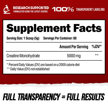 ALPHA LION Creatine Monohydrate Powder, 5000mg Per Serving (5g), Supports Muscle Strength, Power, Athletic Performance, Pure Creatina Monohydrata - PrimeBioHealth - canada supplements