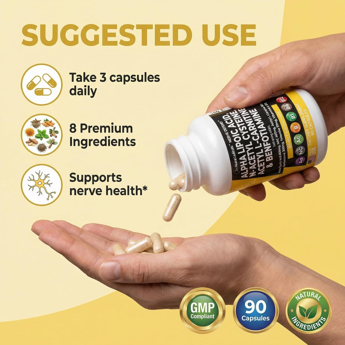 Alpha Lipoic Acid 600mg N-Acetyl Cysteine 600mg Acetyl L-Carnitine 500mg Benfotiamine 300mg - Nerve Support Supplement for Women and Men - PrimeBioHealth - canada supplements