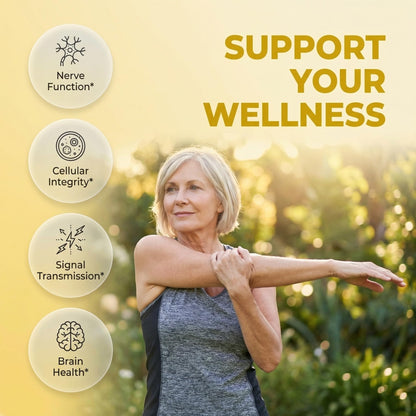 Alpha Lipoic Acid 600mg N-Acetyl Cysteine 600mg Acetyl L-Carnitine 500mg Benfotiamine 300mg - Nerve Support Supplement for Women and Men - PrimeBioHealth - canada supplements