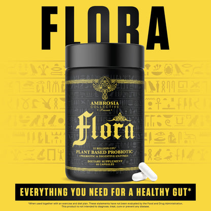 Ambrosia Flora Digestive Enzymes with Probiotics & Prebiotics | 32 Billion CFU Gut Health Supplement | Plant Based, Vegan Probiotic | 60 Veggie Capsules (30 Servings) - PrimeBioHealth - canada supplements