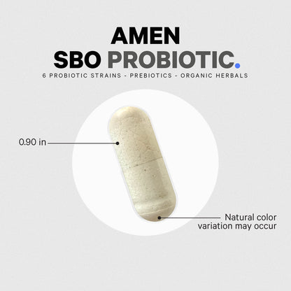Amen Probiotics Supplement, SBO Probiotic and Organic Prebiotics, 50 Billion CFUs, Shelf Stable, No Refrigeration Required, Flora Daily Probiotic Formula for Women & Men - PrimeBioHealth - canada supplements