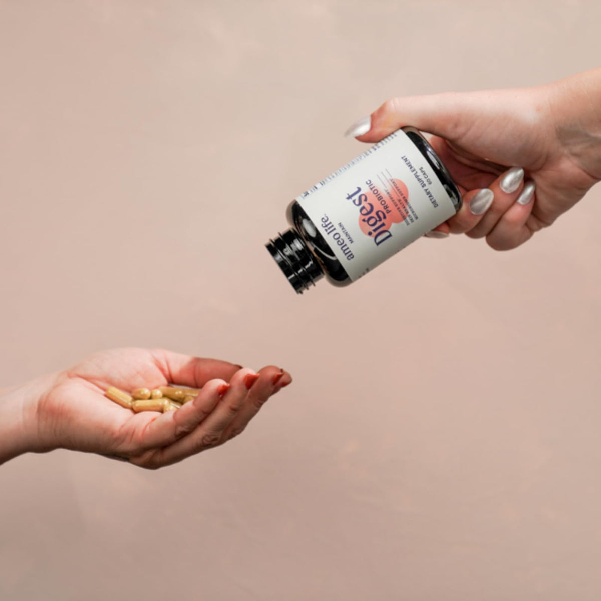Ameo Life Probiotic for Digestive & Gut Health – Bacillus Subtilis & Bacillus Coagulans with Aloe Vera, Turmeric, Psyllium, Slippery Elm - PrimeBioHealth - canada supplements
