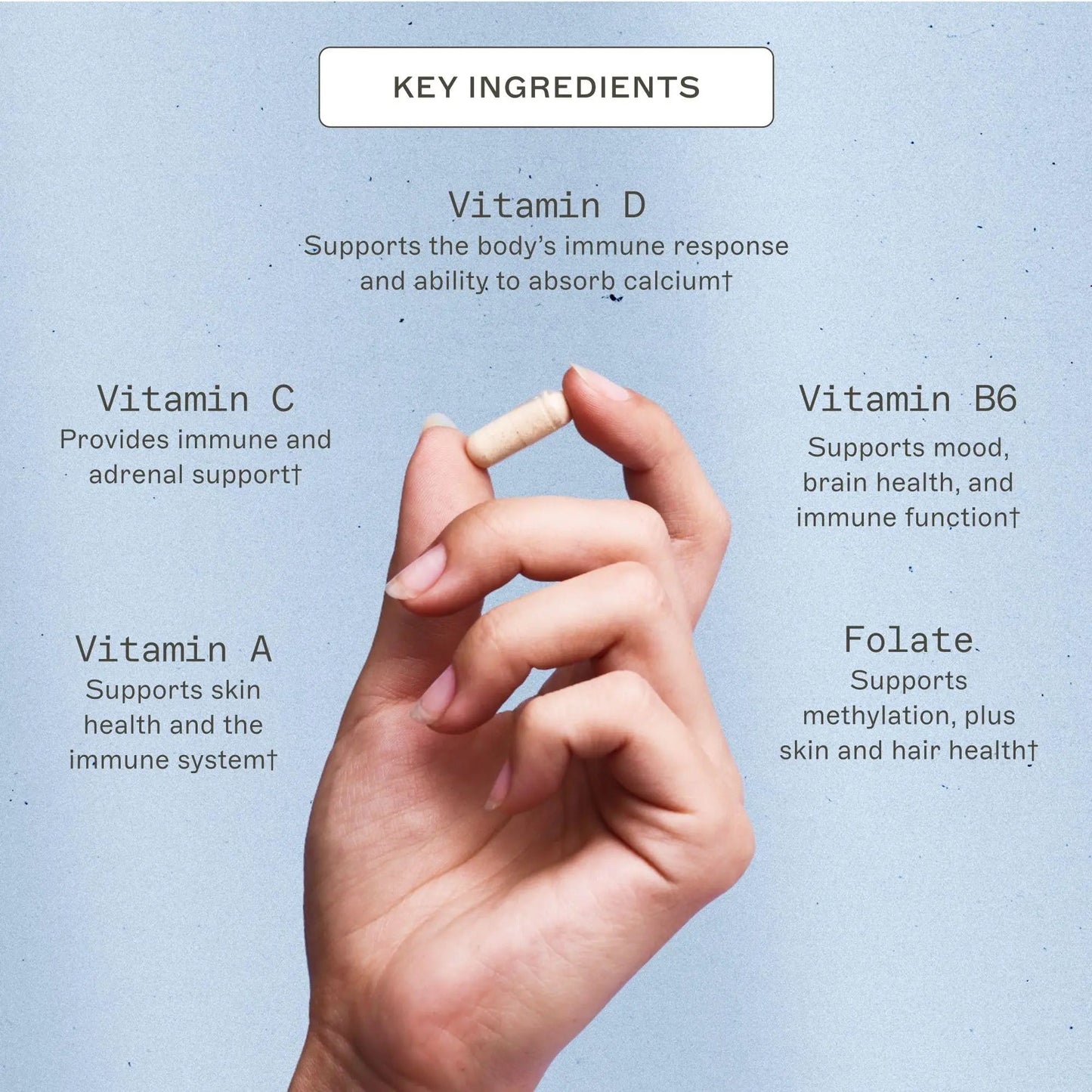 Amy Myers MD The Myers Way Multivitamin - Supports Healthy Immune, Thyroid & Adrenal Function - PrimeBioHealth - canada supplements