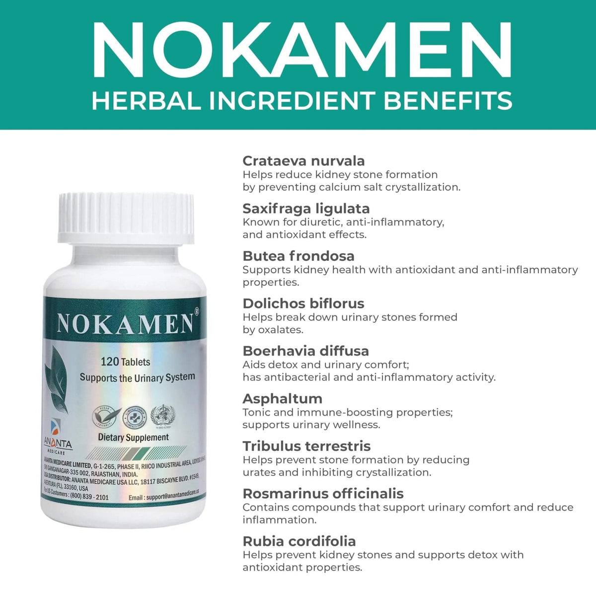 Ananta Medicare USA NOKAMEN – Kidney & Urinary Tract Support Herbal Formula, 120 Tabs - PrimeBioHealth - canada supplements