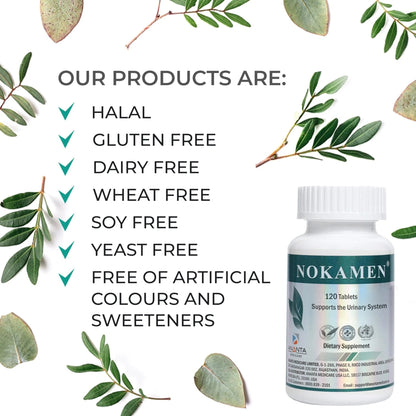 Ananta Medicare USA NOKAMEN – Kidney & Urinary Tract Support Herbal Formula, 120 Tabs - PrimeBioHealth - canada supplements