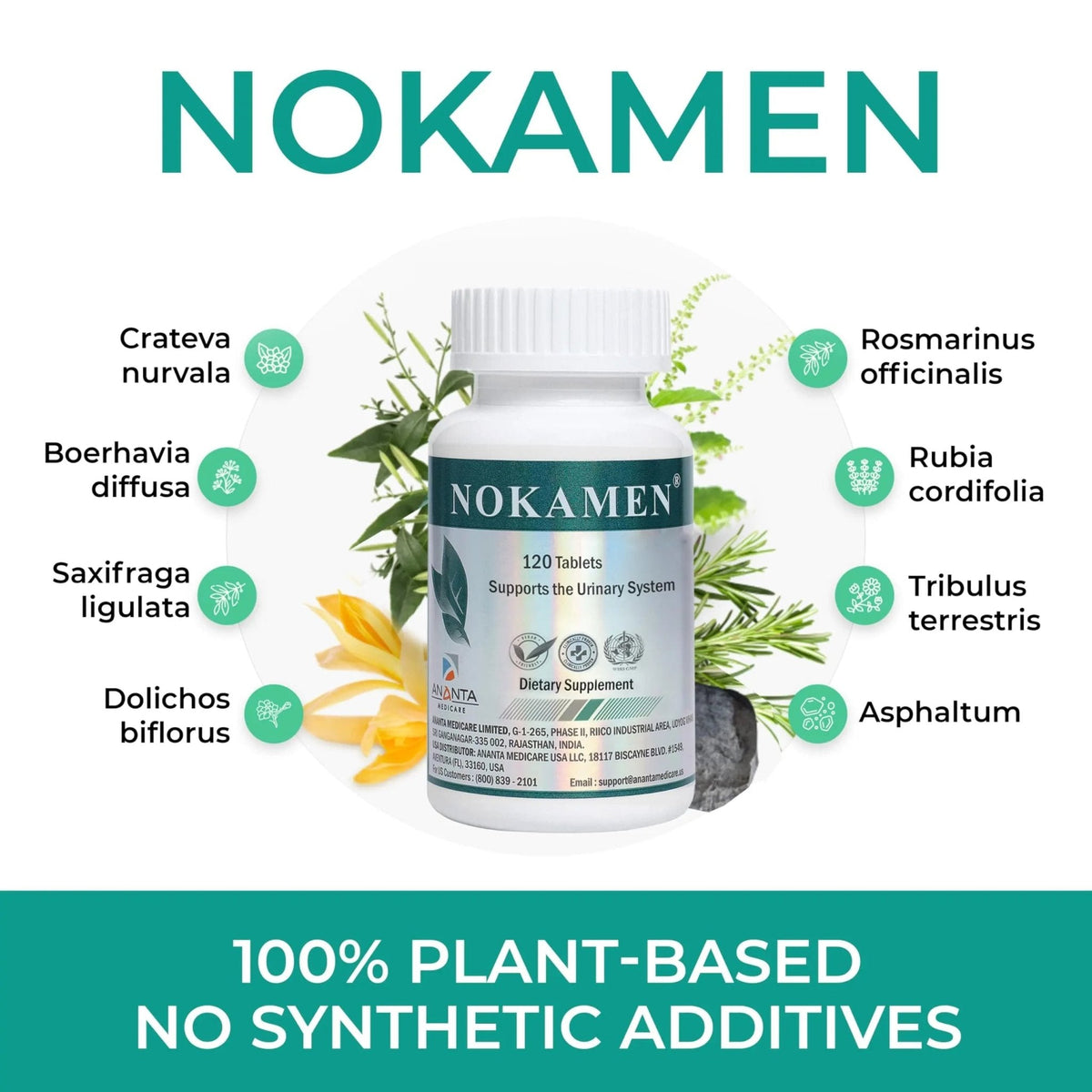 Ananta Medicare USA NOKAMEN – Kidney & Urinary Tract Support Herbal Formula, 120 Tabs - PrimeBioHealth - canada supplements