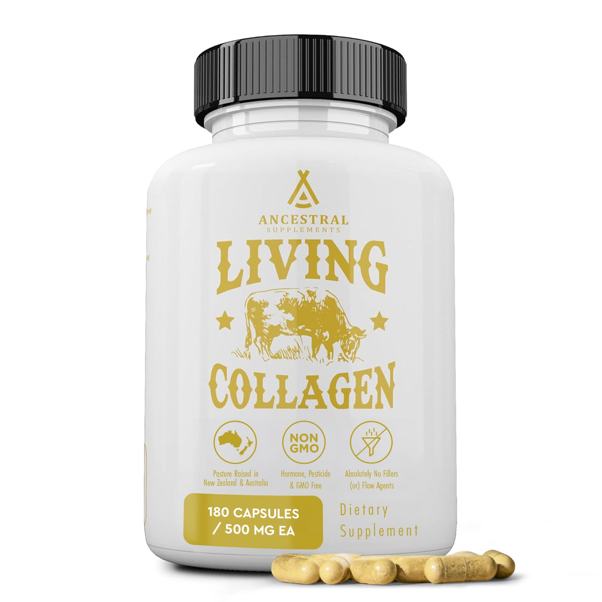 Ancestral Supplements Grass Fed Beef Living Collagen Nutritional Powder Supplement, 3000mg, Promotes Healthier, Younger Looking Skin, Hair - PrimeBioHealth - canada supplements