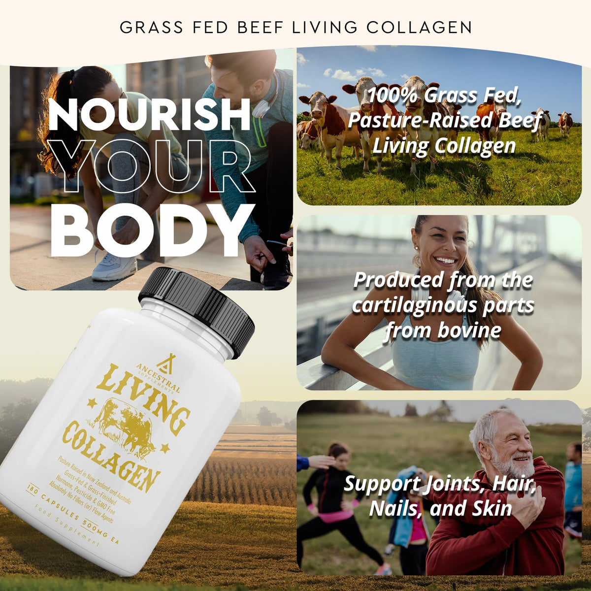 Ancestral Supplements Grass Fed Beef Living Collagen Nutritional Powder Supplement, 3000mg, Promotes Healthier, Younger Looking Skin, Hair - PrimeBioHealth - canada supplements
