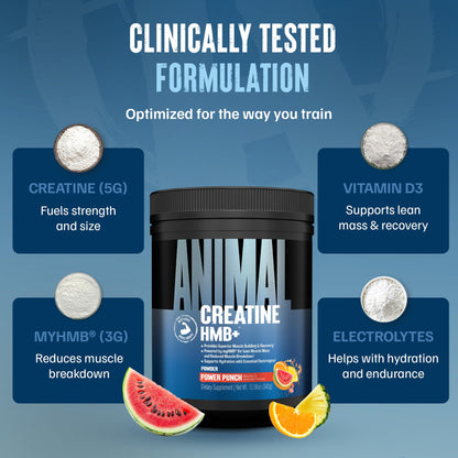 Animal Creatine HMB Powder – 3g myHMB + 5g Creatine with Electrolytes for Recovery & Daily Energy – Power Punch Flavor, 30 Servings - PrimeBioHealth - canada supplements