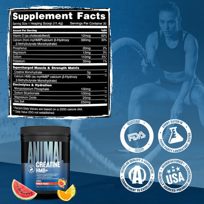 Animal Creatine HMB Powder – 3g myHMB + 5g Creatine with Electrolytes for Recovery & Daily Energy – Power Punch Flavor, 30 Servings - PrimeBioHealth - canada supplements