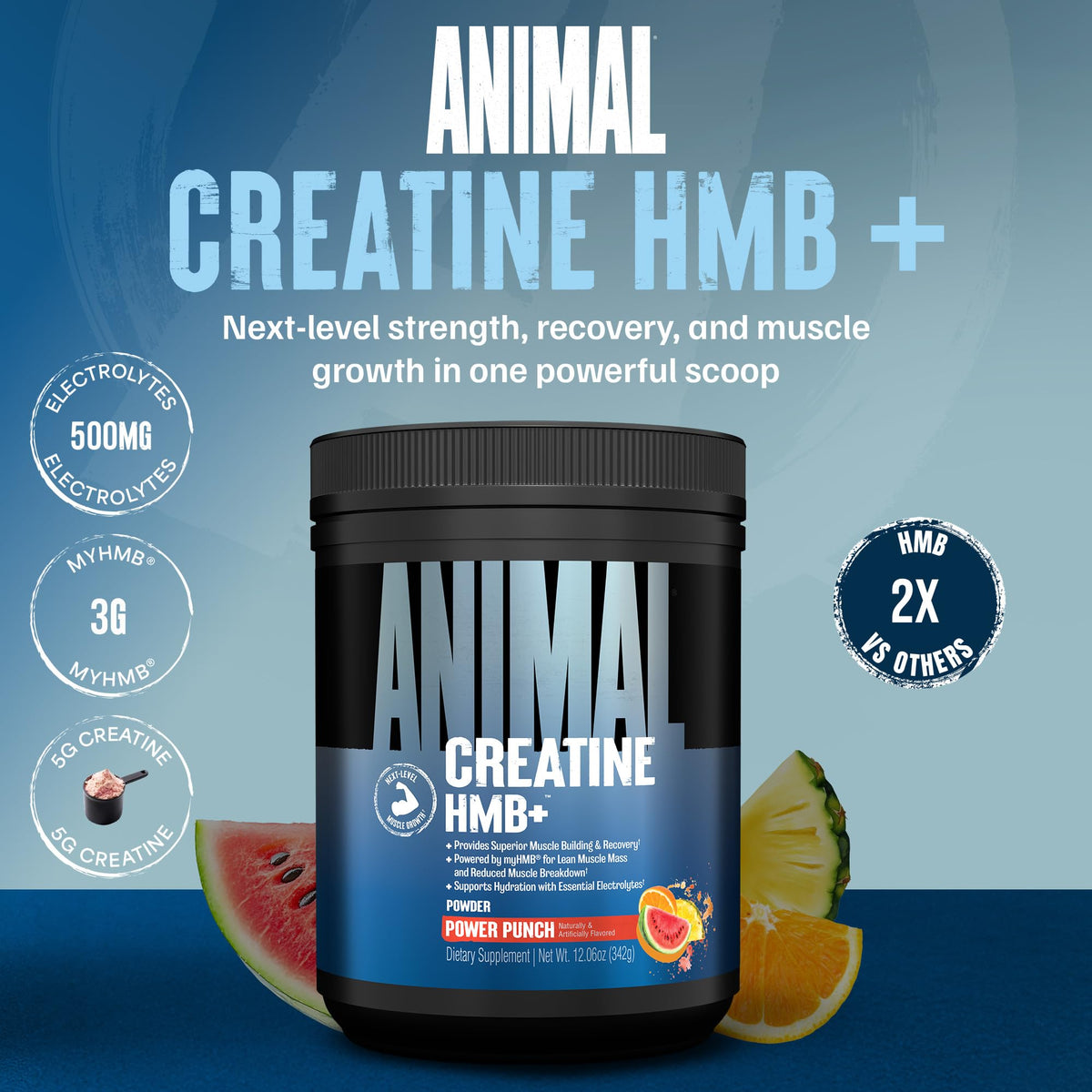 Animal Creatine HMB Powder – 3g myHMB + 5g Creatine with Electrolytes for Recovery & Daily Energy – Power Punch Flavor, 30 Servings - PrimeBioHealth - canada supplements