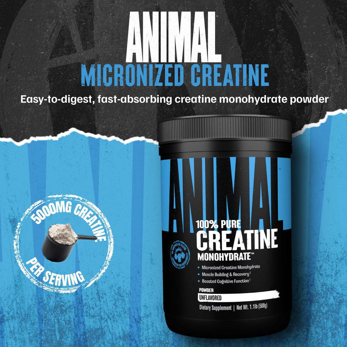 Animal Creatine Monohydrate Powder - Micronized Creatine for Women and Men, Supports Muscle Growth, Strength, Endurance, Recovery and ATP Production, - PrimeBioHealth - canada supplements