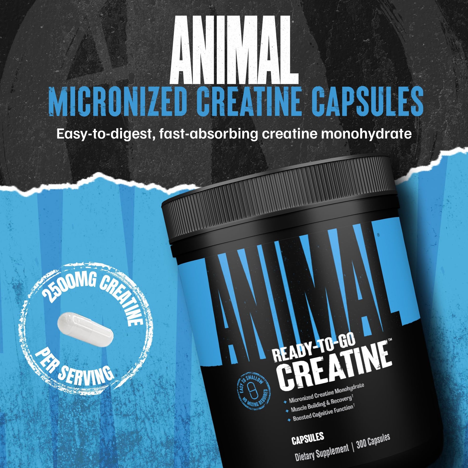 Animal Micronized Creatine Monohydrate Capsules - 300 Caps, 2500mg per Serving to Support Muscle Growth, Endurance, ATP Production, Cognitive Function, Strength - PrimeBioHealth - canada supplements