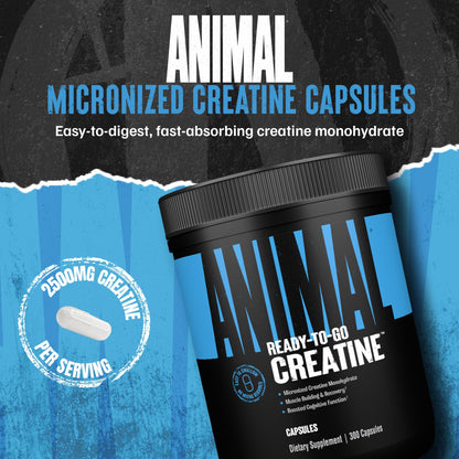Animal Micronized Creatine Monohydrate Capsules - 300 Caps, 2500mg per Serving to Support Muscle Growth, Endurance, ATP Production, Cognitive Function, Strength - PrimeBioHealth - canada supplements