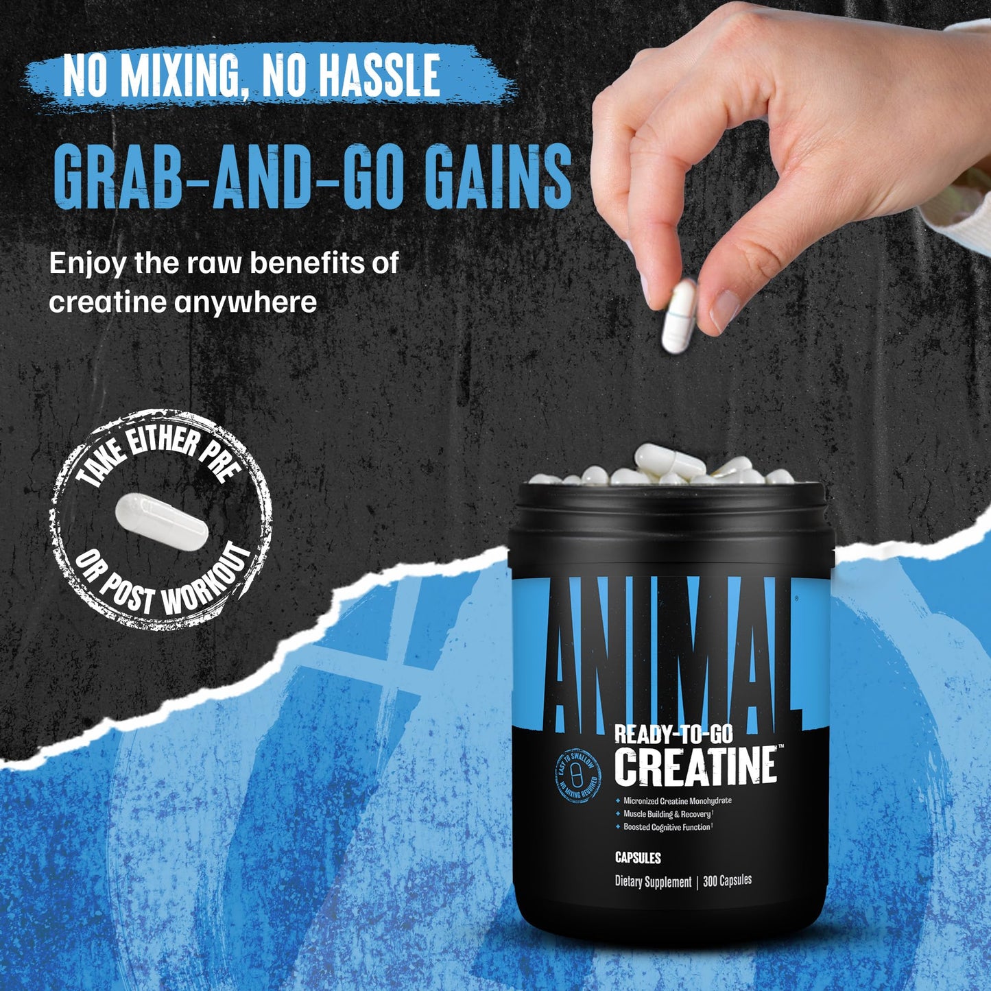Animal Micronized Creatine Monohydrate Capsules - 300 Caps, 2500mg per Serving to Support Muscle Growth, Endurance, ATP Production, Cognitive Function, Strength - PrimeBioHealth - canada supplements