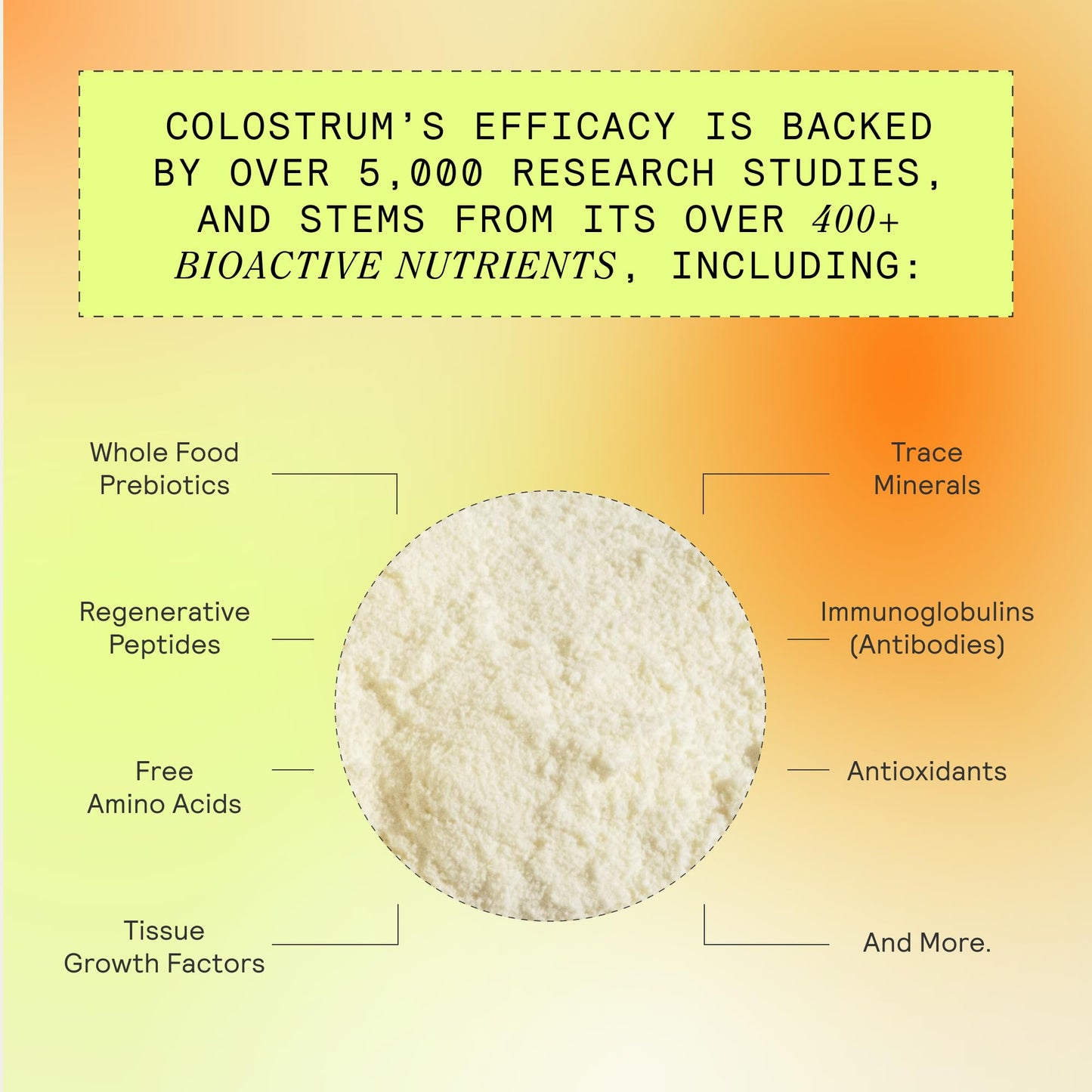 ARMRA Colostrum Powder | Vine Watermelon | Gut Health & Bloating | Skin & Hair | Immunity | Keto, Gluten & Fat-Free | 30 Servings - PrimeBioHealth - canada supplements