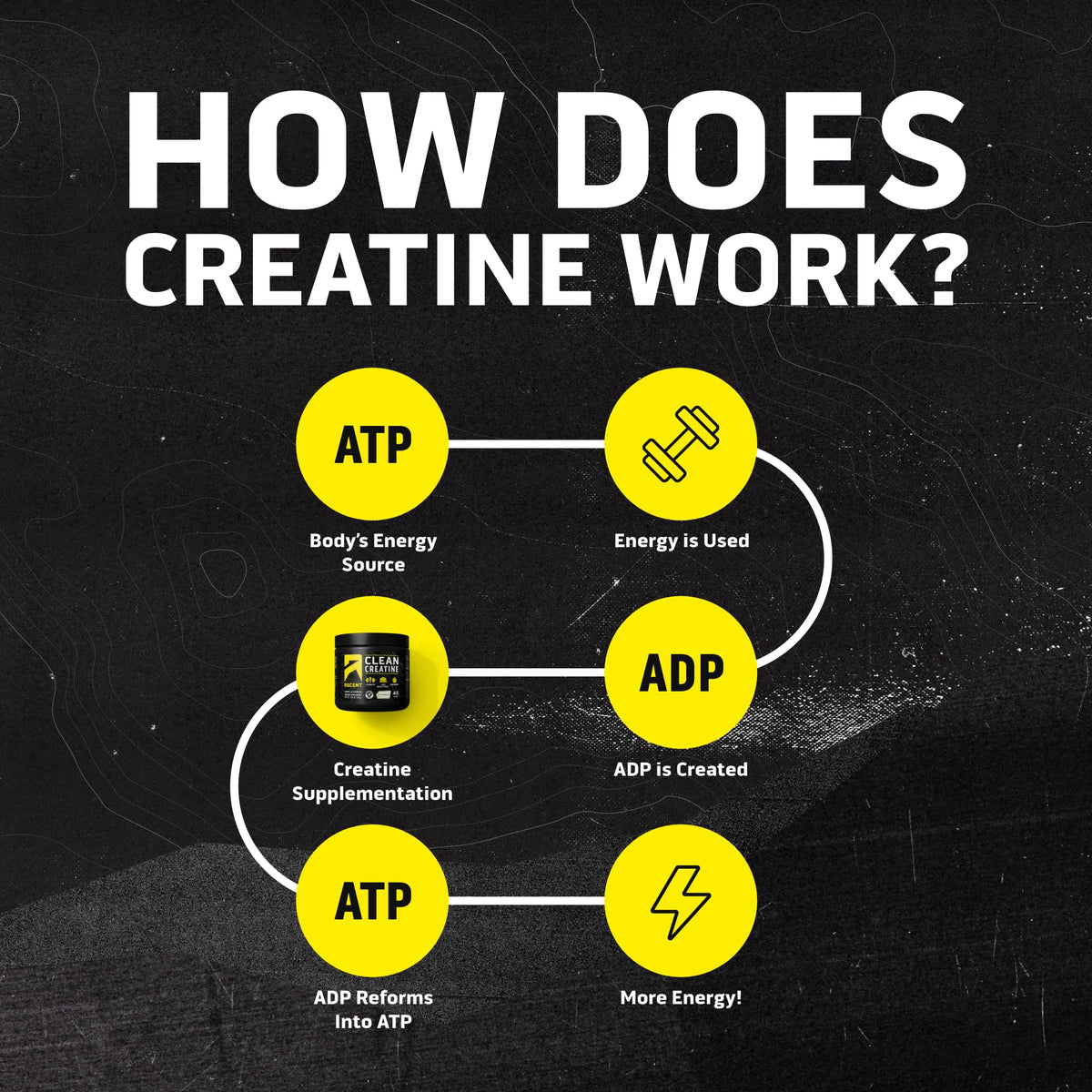 Ascent Clean Creatine Monohydrate Powder - 5G Per Serving, Creapure Supplement - Unflavored, 45 Servings - PrimeBioHealth - canada supplements