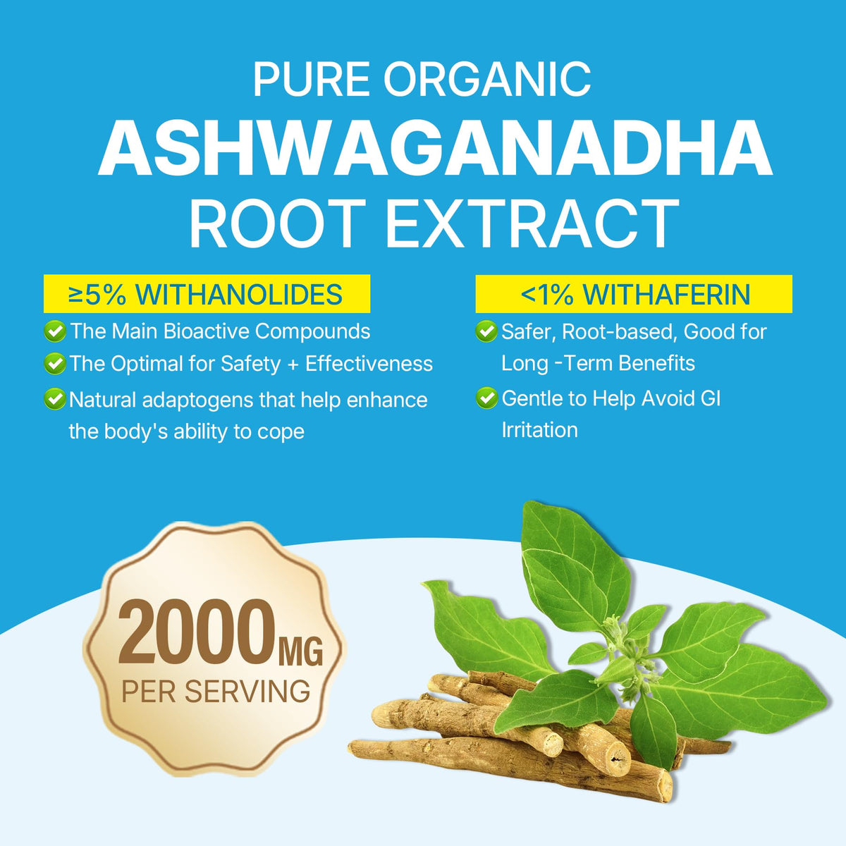 Ashwagandha Gummies 2000mg for Women Men - Sugar Free, Vegan - Organic Ashwagandha Root Extract Supplements Gummy & Vitamin D3 - PrimeBioHealth - canada supplements