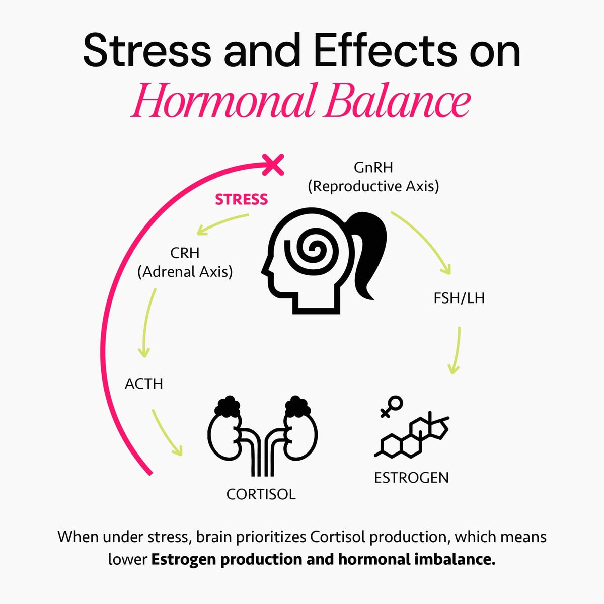Ayurvedic Hormone Balance for Women | Cortisol Reducer | Mood, Energy, & Sleep Support | Regulates Estrogen | Stress Relief | Ashwagandha, Rhodiola, & Shatavari - PrimeBioHealth - canada supplements