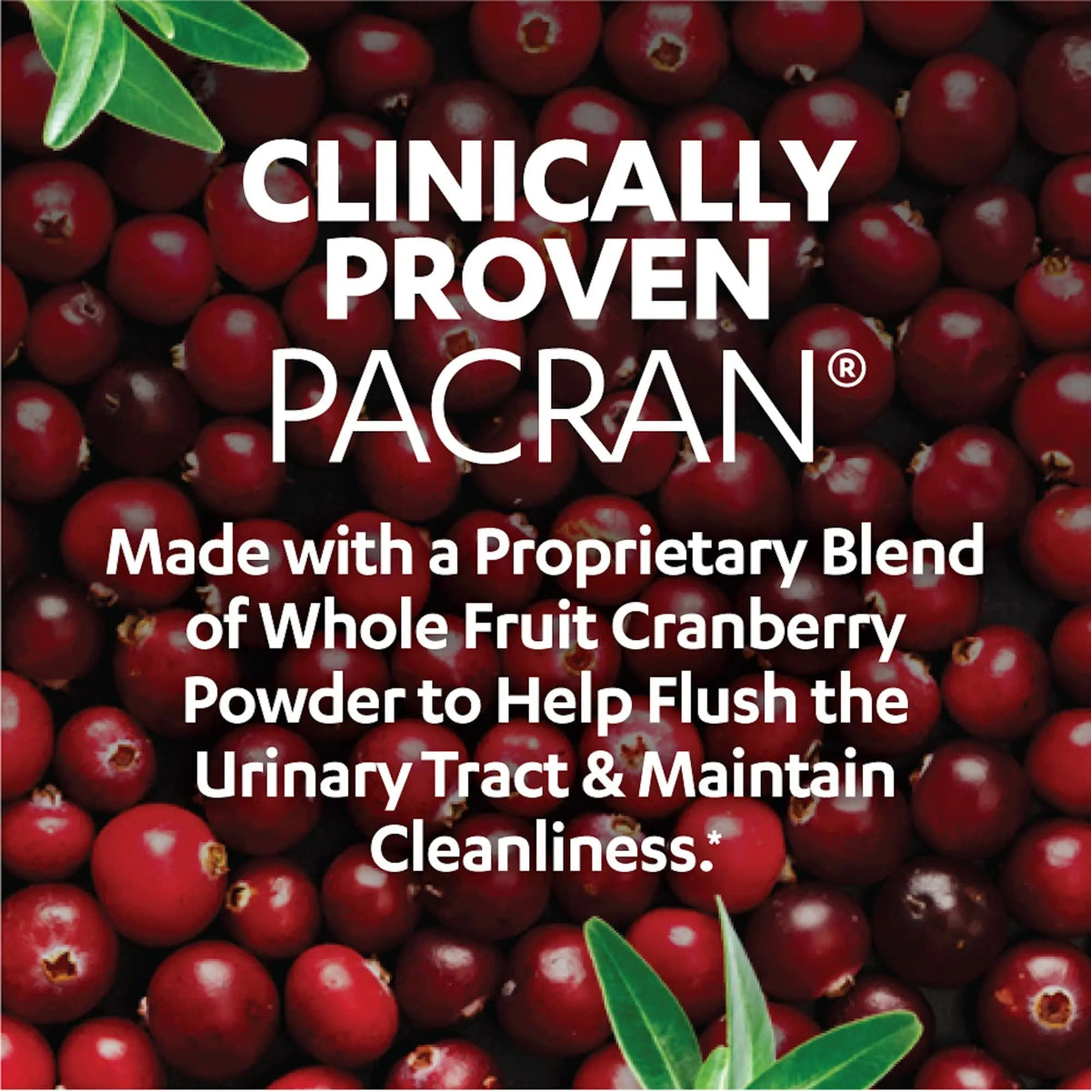 AZO D Mannose Urinary Tract Health, Cleanse, Flush & Protect The Urinary Tract & Cranberry Urinary Tract Health Supplement, 1 Serving = 1 Glass of Cranberry Juice, Sugar - PrimeBioHealth - canada supplements
