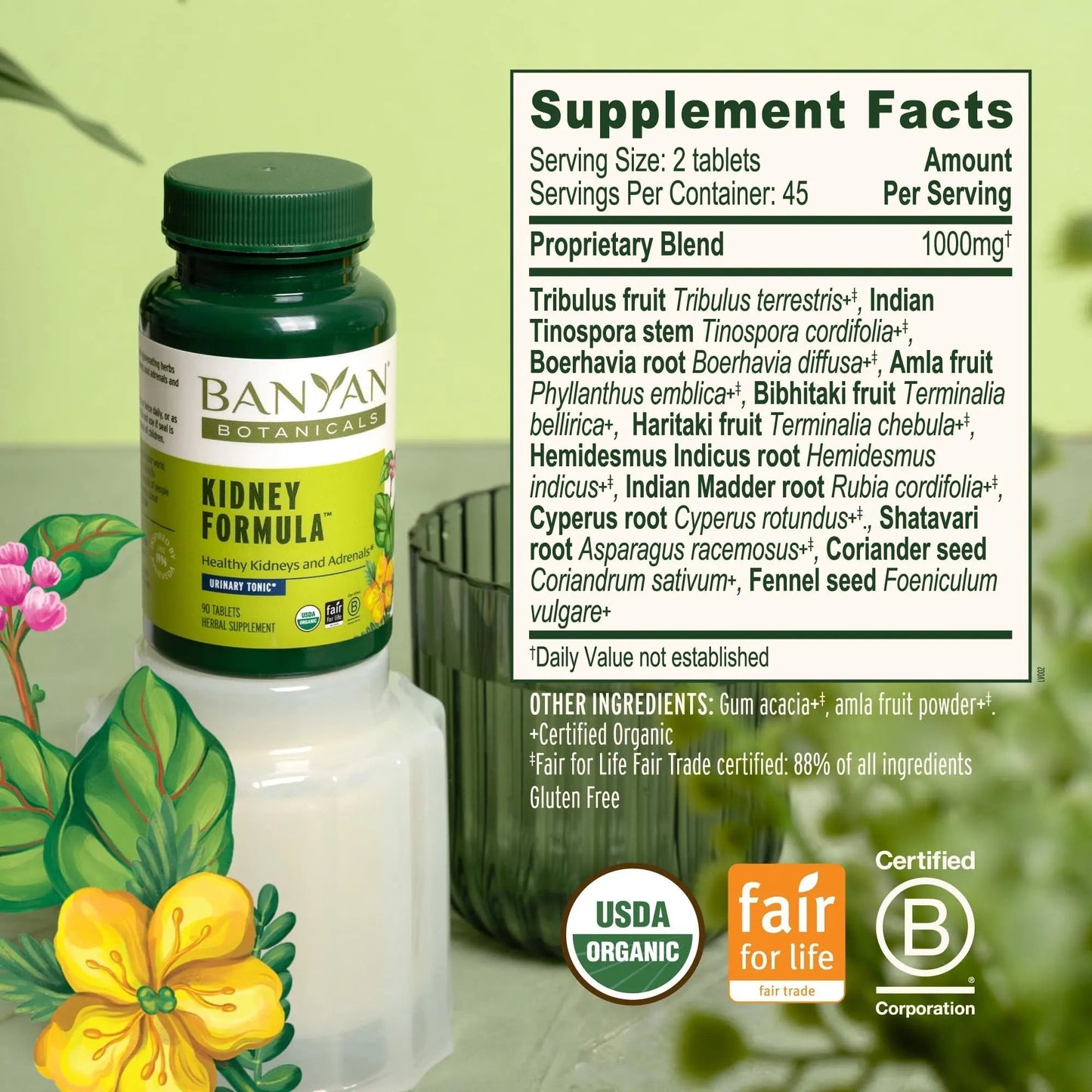 Banyan Botanicals Organic Kidney Formula–Urinary Tract Support & Detox Supplement–Gokshura & Punarnava for Fluid Balance & Systemic Cleansing–Cooling Genitourinary Tonic-90 Tablets-USDA Organic - PrimeBioHealth - canada supplements
