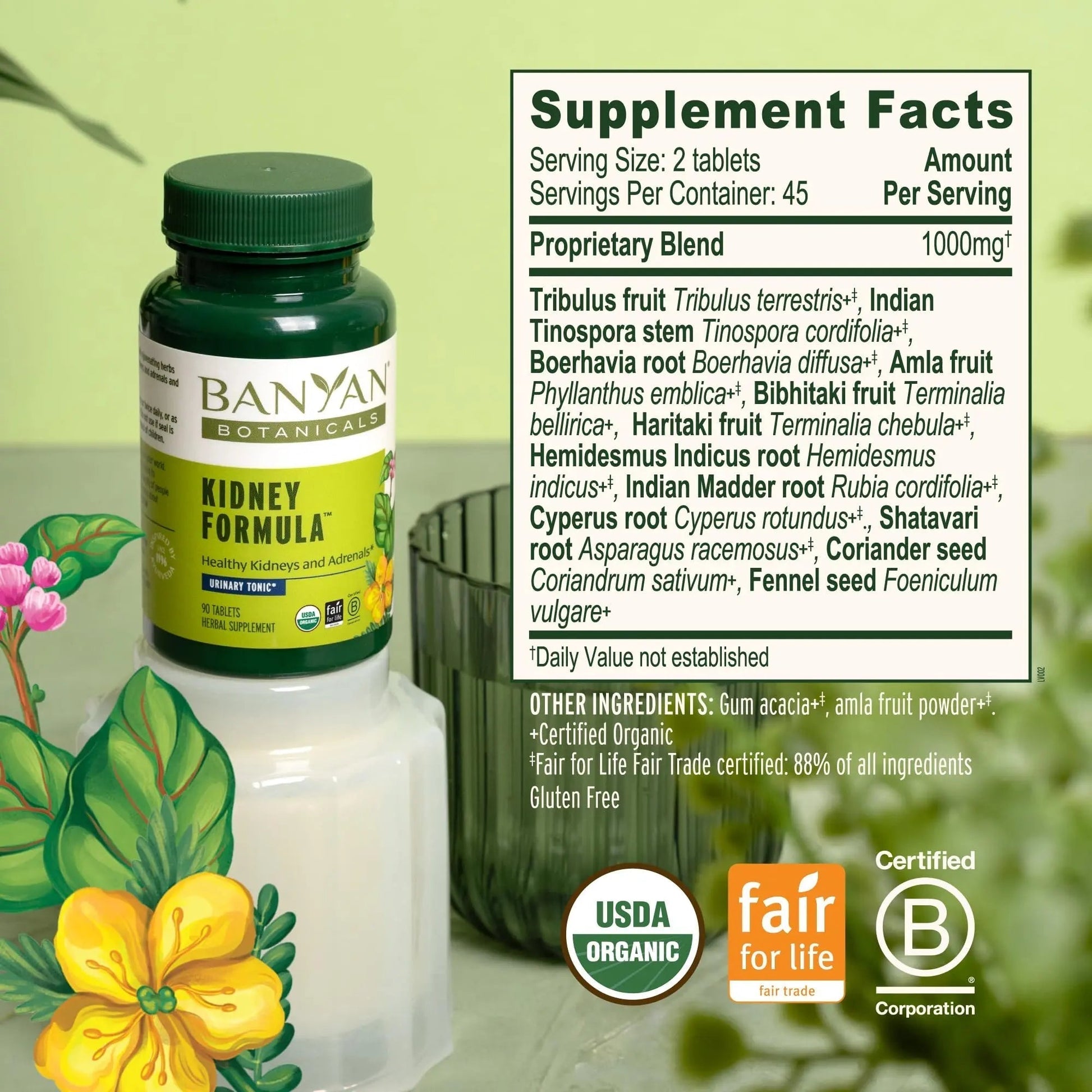 Banyan Botanicals Organic Kidney Formula–Urinary Tract Support & Detox Supplement–Gokshura & Punarnava for Fluid Balance & Systemic Cleansing–Cooling Genitourinary Tonic-90 Tablets-USDA Organic - PrimeBioHealth - canada supplements
