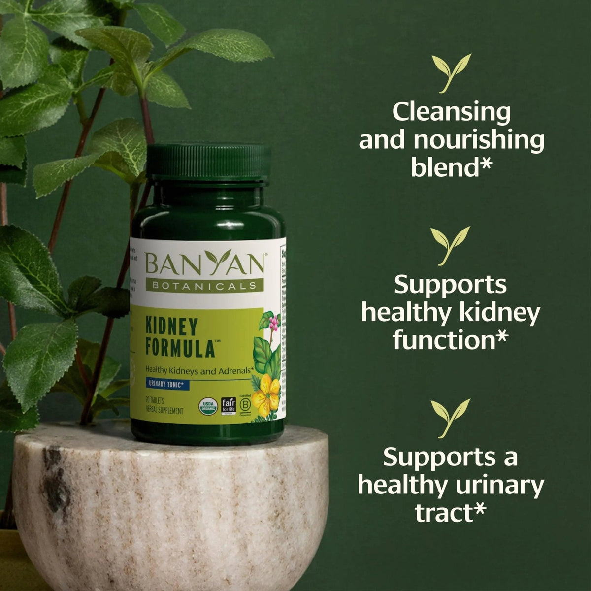 Banyan Botanicals Organic Kidney Formula–Urinary Tract Support & Detox Supplement–Gokshura & Punarnava for Fluid Balance & Systemic Cleansing–Cooling Genitourinary Tonic-90 Tablets-USDA Organic - PrimeBioHealth - canada supplements