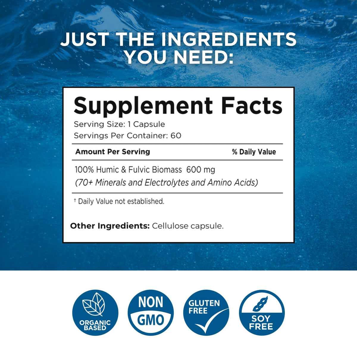 Beam Minerals Complete Multi-Mineral Capsules | Electro-Boost Plant-Based Electrolytes and Micronutrients for Men and Women | Help to Boost Immunity, Support Gut Health - PrimeBioHealth - canada supplements