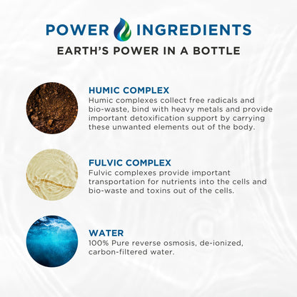 Beam Minerals Complete Multi-Mineral Capsules | Electro-Boost Plant-Based Electrolytes and Micronutrients for Men and Women | Help to Boost Immunity, Support Gut Health - PrimeBioHealth - canada supplements