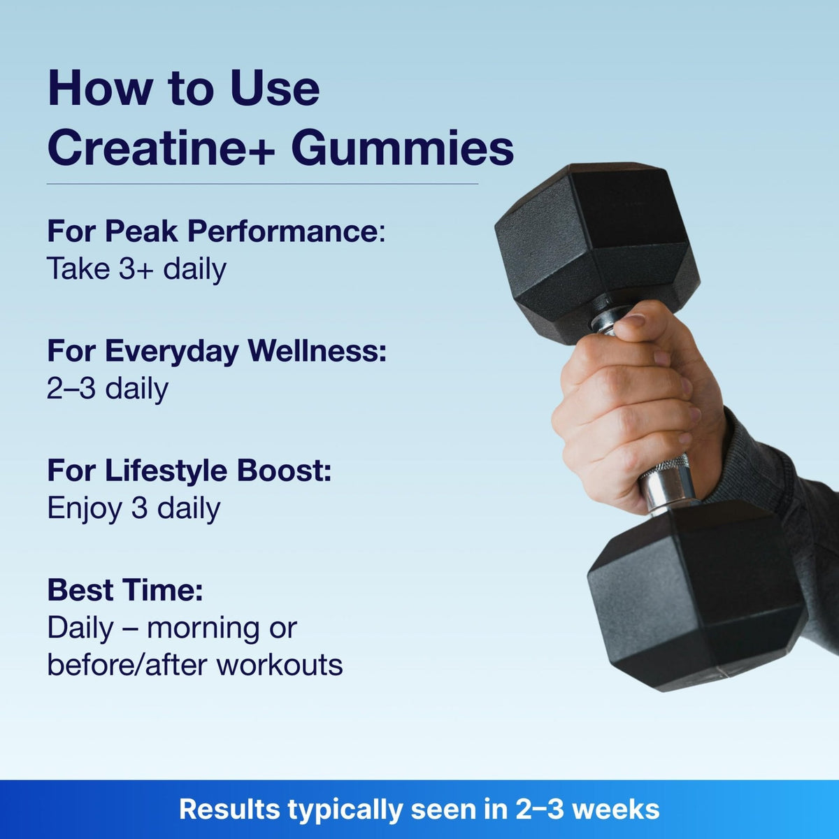 Bear Balanced Creatine Gummies for Men & Women - Creapure® Creatine Monohydrate, L-Theanine, L-Tyrosine & B12 for Muscle Growth, Strength, Focus, Energy & Health - PrimeBioHealth - canada supplements