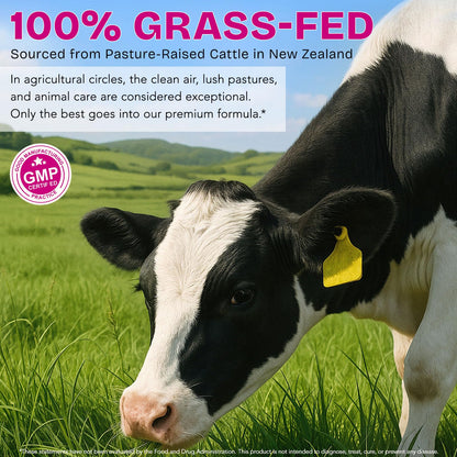 Beef Organ Supplement for Women - Grass-Fed Beef Liver, Kidney, Heart, Uterus, Ovary - Supports Female Energy & Hormone Balance - Pasture Raised in New Zealand - PrimeBioHealth - canada supplements