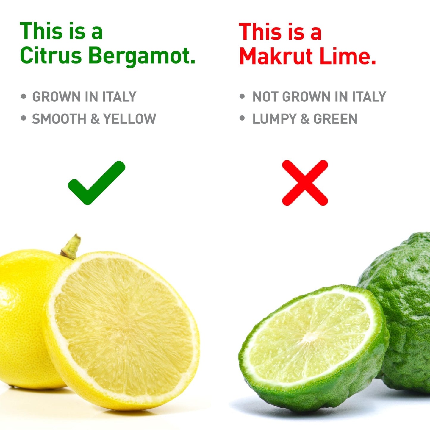 BergaMet Citrus Bergamot Supplement, 170:1 Extract, 1200mg per Serving, 80% Polyphenols, Italian Citrus Bergamot Supplement, - PrimeBioHealth - canada supplements